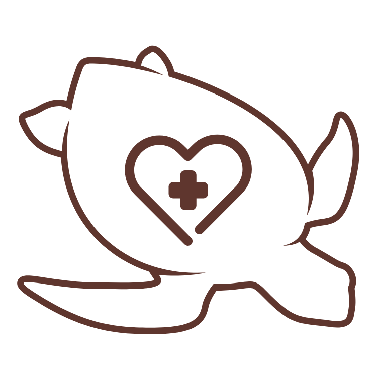 Turtle Health
